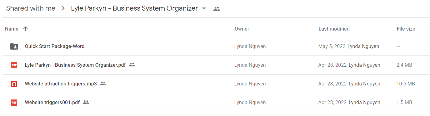 Lyle Parkyn - Business System Organizer