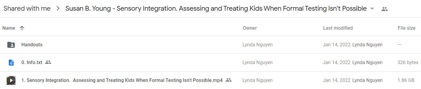 Susan B. Young - Sensory Integration. Assessing and Treating Kids When Formal Testing Isn't Possible