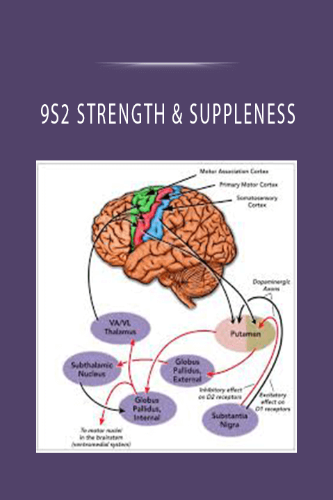 9S2 STRENGTH & SUPPLENESS