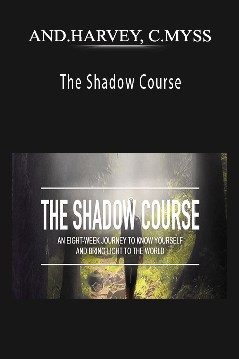 The Shadow Course – ANDREW HARVEY