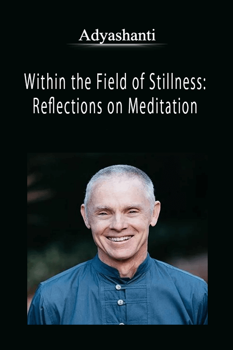 Adyashanti - Within the Field of Stillness: Reflections on Meditation