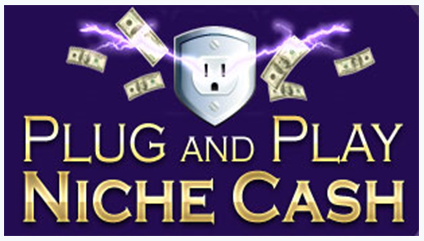 Andrew Hansen - Plug and Play Niche Cash