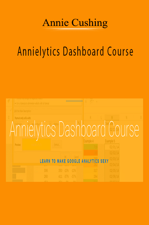 Annielytics Dashboard Course – Annie Cushing