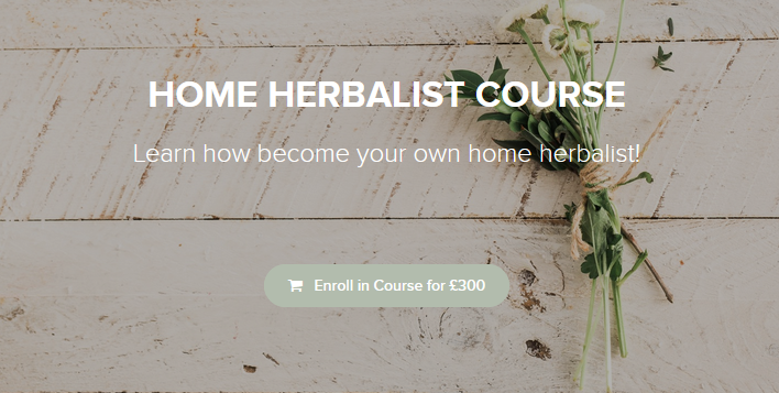 BETONICA - HOME HERBALIST COURSE