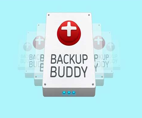 BackupBuddy 3.0 Unlimited version