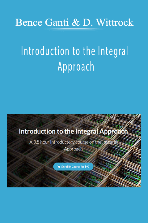 Bence Ganti & Dennis Wittrock - Introduction to the Integral Approach