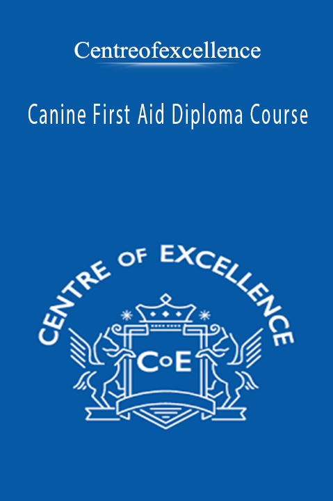 Canine First Aid Diploma Course – Centreofexcellence