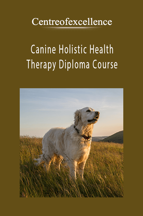 Canine Holistic Health & Therapy Diploma Course – Centreofexcellence