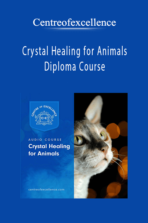 Crystal Healing for Animals Diploma Course – Centreofexcellence