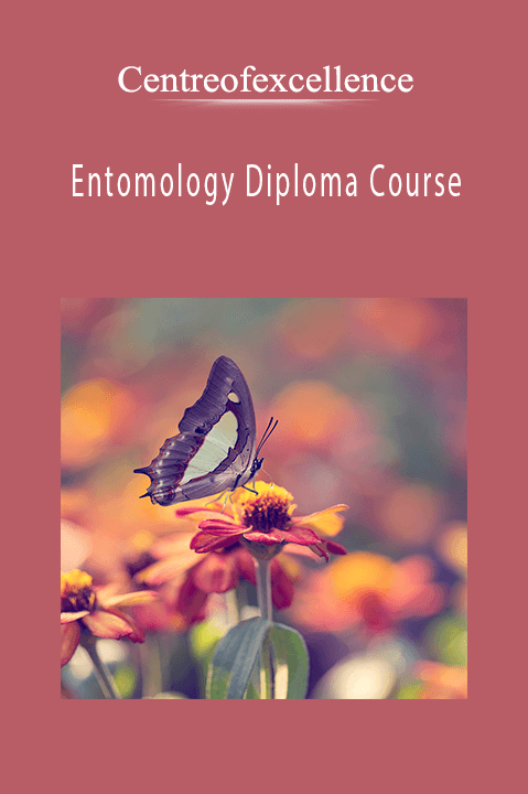 Entomology Diploma Course – Centreofexcellence