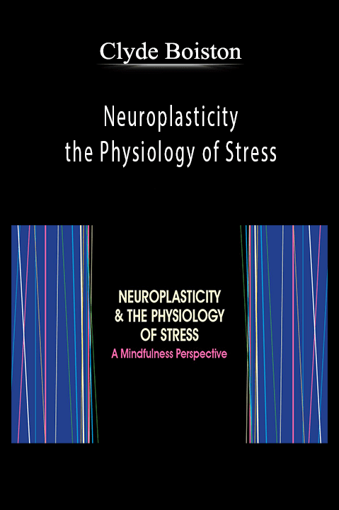 Neuroplasticity & the Physiology of Stress: A Mindfulness Perspective – Clyde Boiston