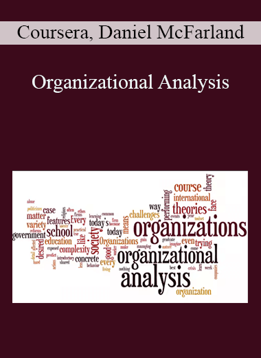 Organizational Analysis – Coursera