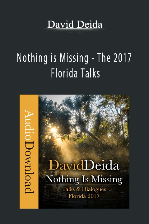 Nothing is Missing – The 2017 Florida Talks – David Deida