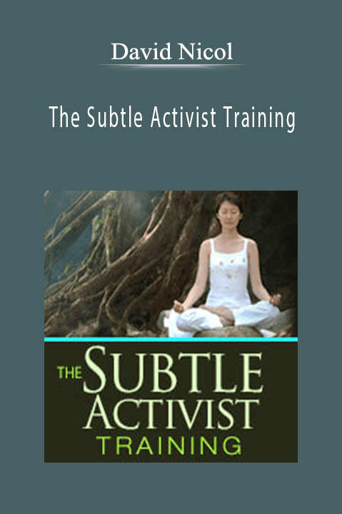 The Subtle Activist Training – David Nicol