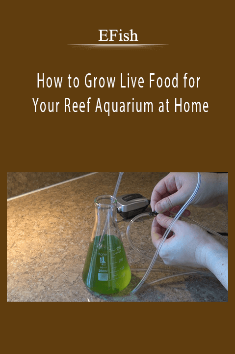 How to Grow Live Food for Your Reef Aquarium at Home – EFish