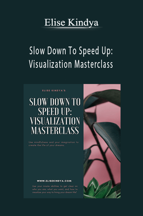 Slow Down To Speed Up: Visualization Masterclass – Elise Kindya