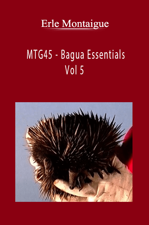 MTG45 – Bagua Essentials Vol 5 – Erle Montaigue