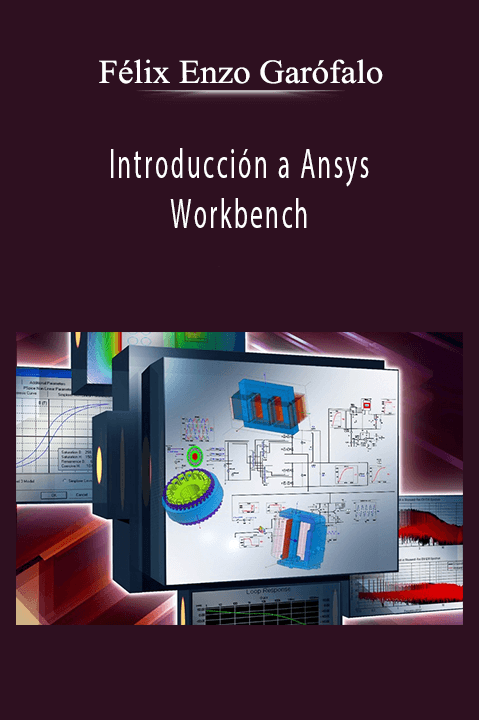 Introducción a Ansys Workbench – Félix Enzo Garófalo