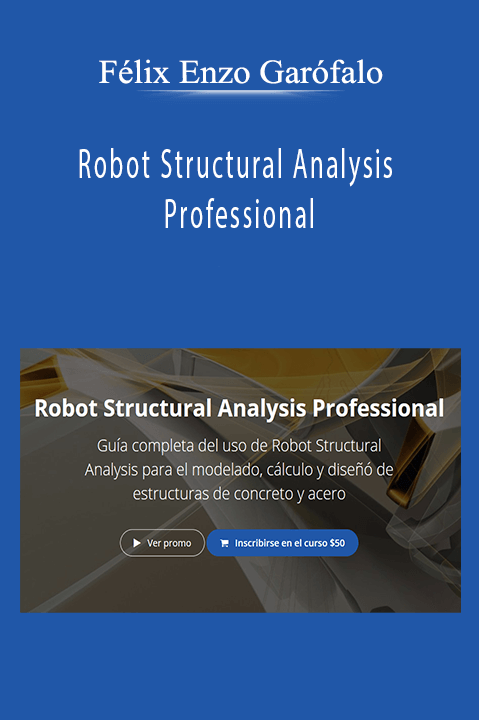 Robot Structural Analysis Professional – Félix Enzo Garófalo