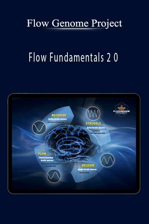 Flow Fundamentals 2 0 – Flow Genome Project