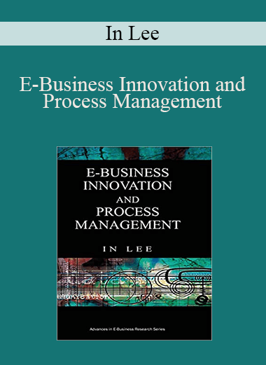 E–Business Innovation and Process Management – In Lee