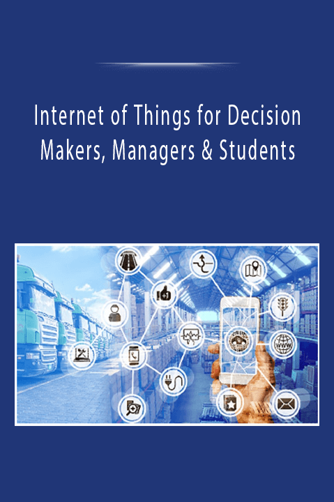 Internet of Things for Decision Makers