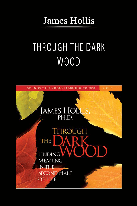 THROUGH THE DARK WOOD – James Hollis