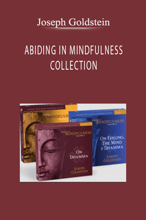 ABIDING IN MINDFULNESS COLLECTION – Joseph Goldstein