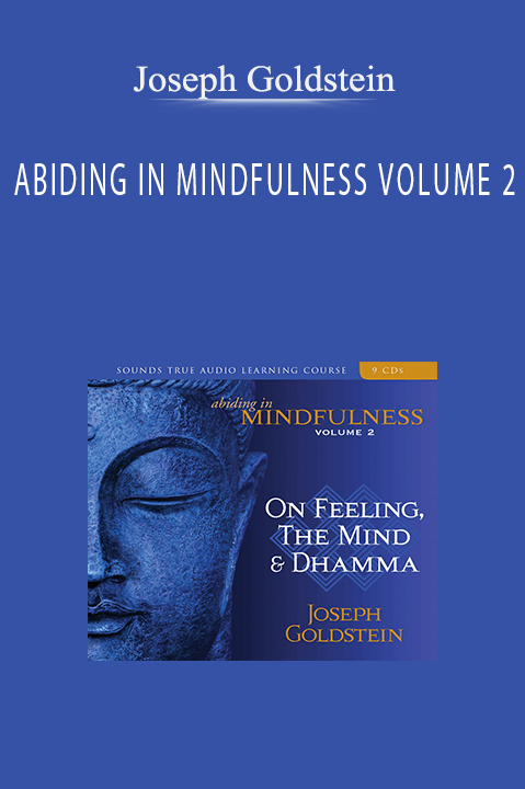 ABIDING IN MINDFULNESS VOLUME 2 – Joseph Goldstein