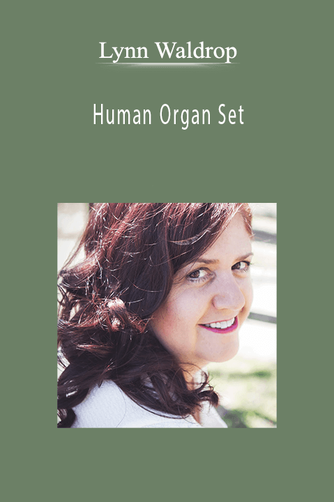 Human Organ Set – Lynn Waldrop