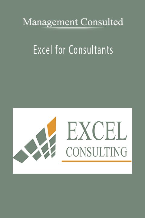 Excel for Consultants – Management Consulted