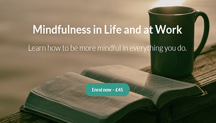 Mindfulness in Life and at Work