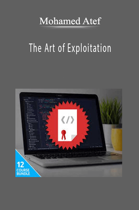 The Art of Exploitation – Mohamed Atef