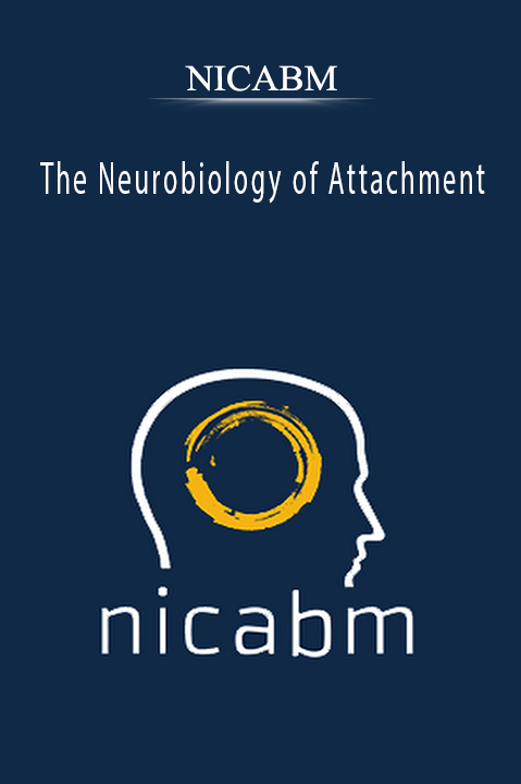 The Neurobiology of Attachment – NICABM