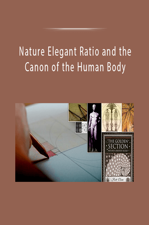 Nature Elegant Ratio and the Canon of the Human Body