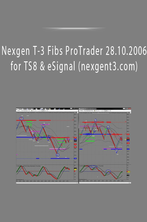 Nexgen T–3 Fibs ProTrader 28.10.2006 for TS8 & eSignal (nexgent3.com)