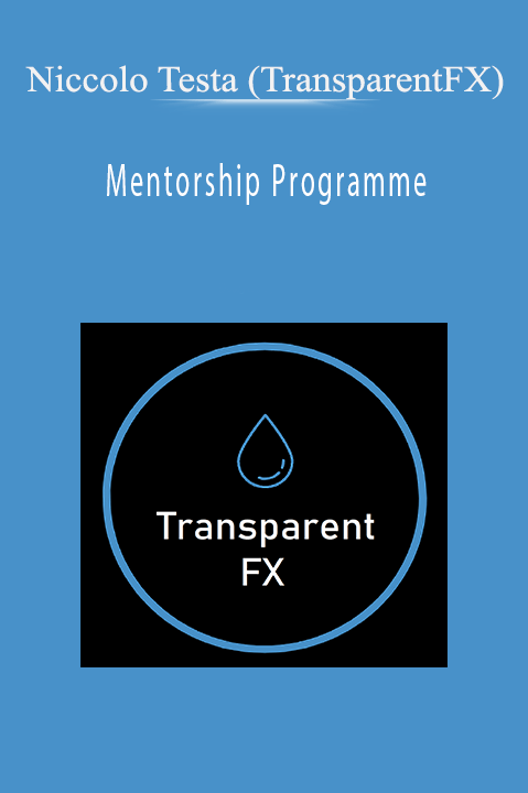 Mentorship Programme – Niccolo Testa (TransparentFX)