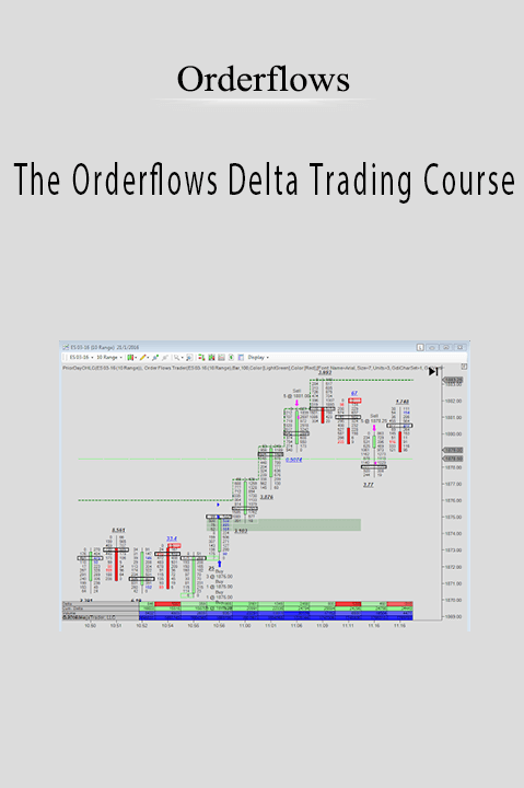 The Orderflows Delta Trading Course – Orderflows