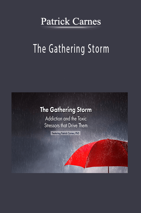 The Gathering Storm: Addiction and the Toxic Stressors that Drive Them – Patrick Carnes