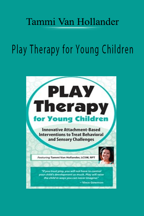 Tammi Van Hollander – Play Therapy for Young Children: Innovative Attachment–Based Interventions to Treat Behavioral and Sensory Challenges