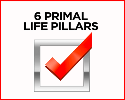 REWW Academy - Six Primal Life Pillars Course