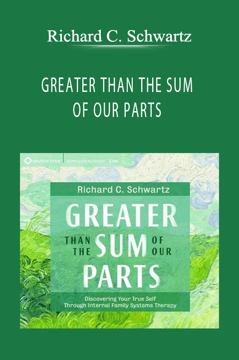 Richard C. Schwartz - GREATER THAN THE SUM OF OUR PARTS