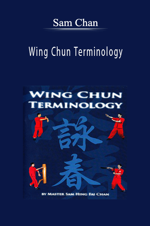 Wing Chun Terminology – Sam Chan