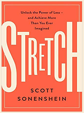 Scott Sonenshein - Stretch (Audiobook )