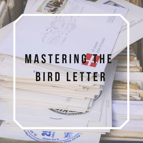 Shauna Pinneo - Mastering The Bird Letter