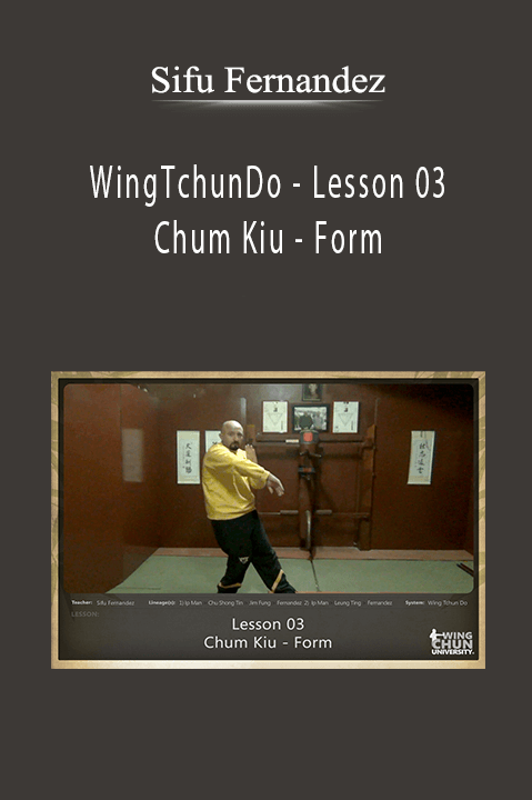 WingTchunDo – Lesson 03 – Chum Kiu – Form – Sifu Fernandez