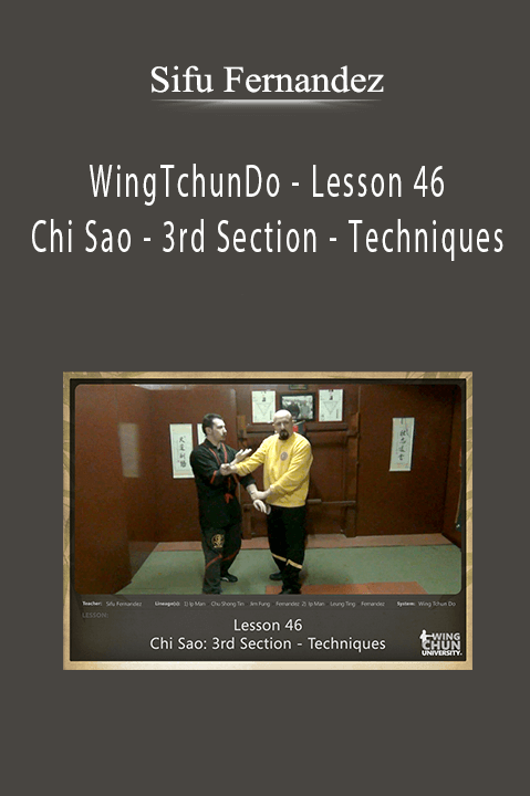 WingTchunDo – Lesson 46 – Chi Sao – 3rd Section – Techniques – Sifu Fernandez