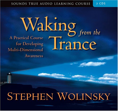 Stephen Wolinsky - WAKING FROM THE TRANCE