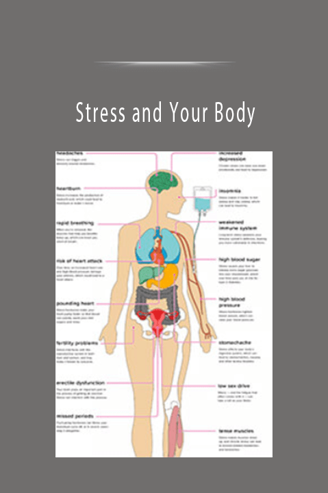 Stress and Your Body