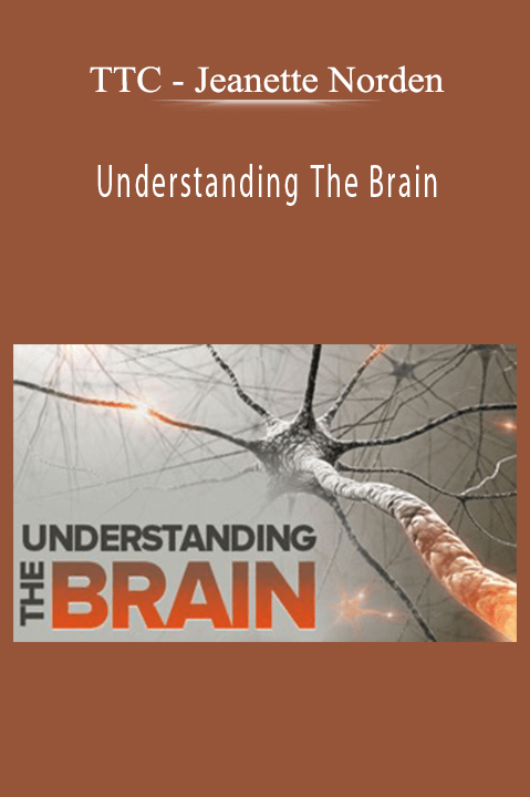 Jeanette Norden – Understanding The Brain – TTC